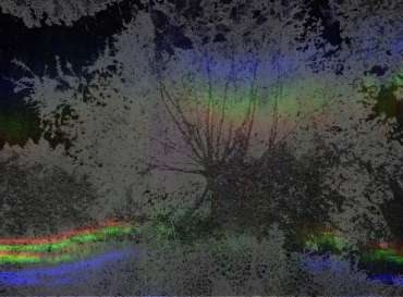 Thumbnail image of 162 Bob Wood | Hard Reflection - LSA Annual Exhibition 2023 | Catalogue S - Z