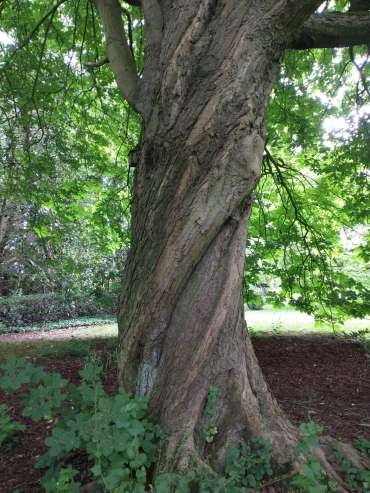Art in the Garden