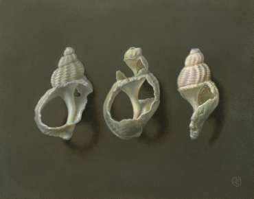 Thumbnail image of Pete Underhill |&nbsp;Broken Homes - THE PEOPLE'S EXHIBITION | LEICESTER MUSEUM & ART GALLERY
