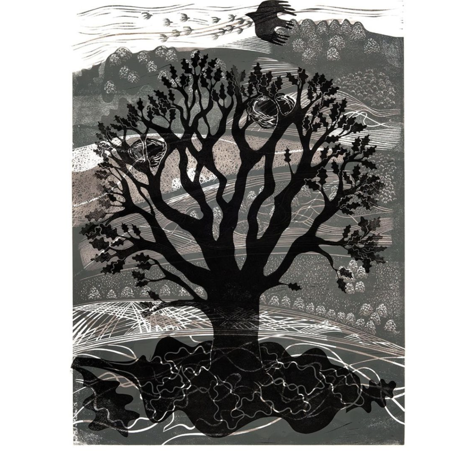 A Walk in the Park | Sarah Kirby