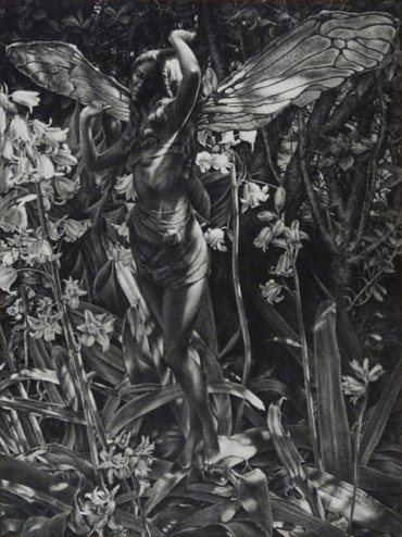 Thumbnail image of Little Wing by Andrew Jackson