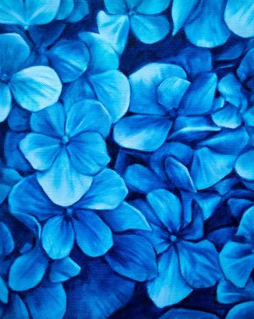 Thumbnail image of Blue Hydrangea by Chloe Jean Brown