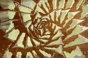 Thumbnail image of Succulent by Craig Murphy