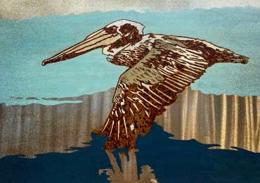 Thumbnail image of Pelican by Craig Murphy