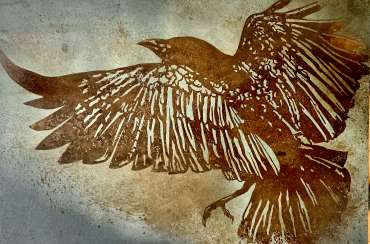 Crow by Craig Murphy