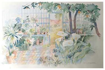 Thumbnail image of Peckover Orangery by Di Lorriman