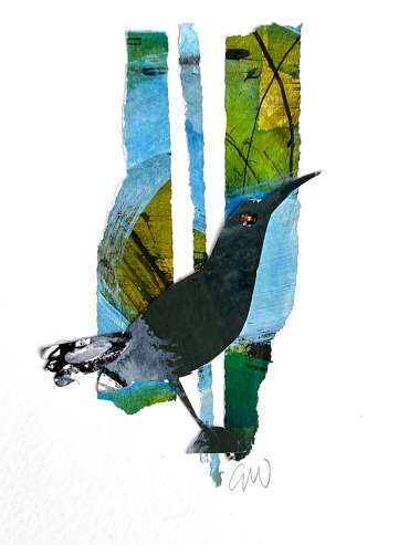 Thumbnail image of Inky Bird by Georgia Wilkinson