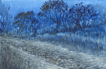 Thumbnail image of Deer Run, Bradgate Park by Glen Heath
