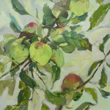 Thumbnail image of Asturian Apples by Hazel Crabtree