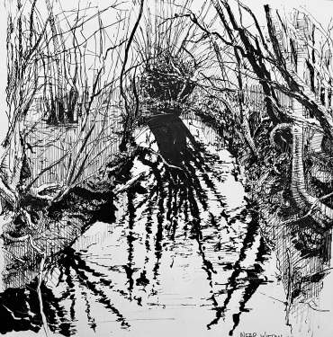Thumbnail image of Wistow Brook by Ian Cox
