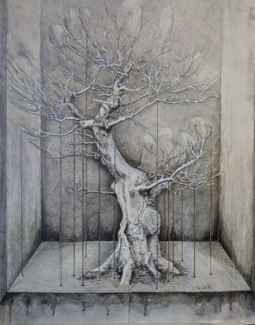 Jackie Terrett