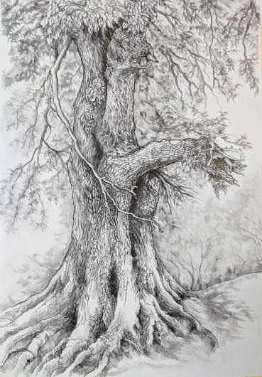 Jackie Terrett