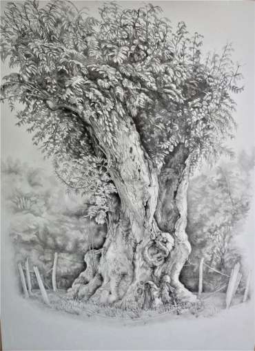 by Jackie Terrett