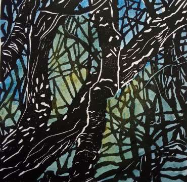 Tangled Woodland by Jane Adams