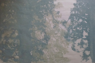 Thumbnail image of Luminous by Jo McChesney