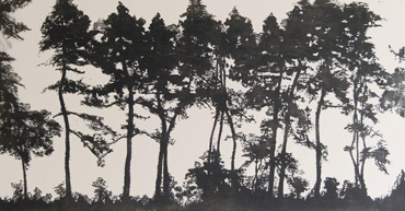Thumbnail image of Sunlit Pines, Winter Morning by Jo McChesney
