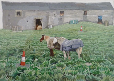 Cold Horses, Derbyshire by John Redfern