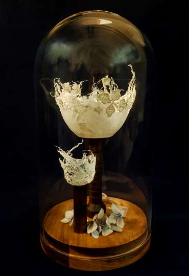 Thumbnail image of Miss Clara Knight's Curious Collections, A New Discovery (i) by Joy Norman