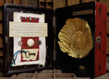 Thumbnail image of Miss Clara Knight's Curious Collections, Seashore Specimens (v) by Joy Norman