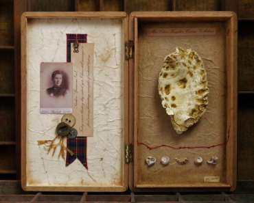 Thumbnail image of Miss Clara Knight's Curious Collections, Series One: Seashore Specimens (vi) by Joy Norman