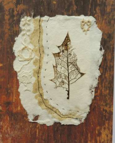 Thumbnail image of Specimen Series (iii) Holly Leaf by Joy Norman