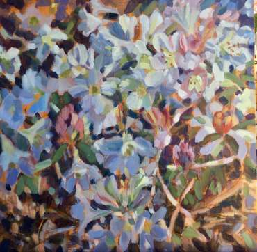 Thumbnail image of Rhododendons - White by Lesley Brooks