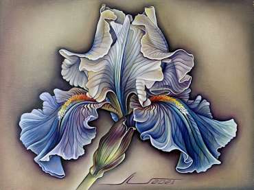 Thumbnail image of Iris by Lidiya Bukikova