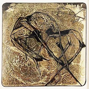 Thumbnail image of Lis Naylor | Seedhead 4 by Lis Naylor