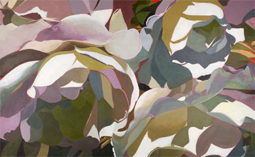 Thumbnail image of Petals & Shadows by Lisa Timmerman