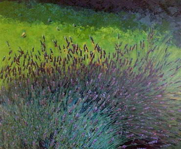 Thumbnail image of Free Range Lavender 2 by Lisa Timmerman