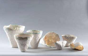 Thumbnail image of Impermanence Collection by Liz Blyth