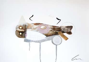Thumbnail image of Barn Owl (Amelia) by Lucy Stevens