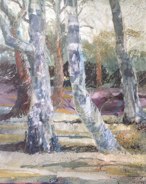 Thumbnail image of Silver Birch by Margaret Chapman