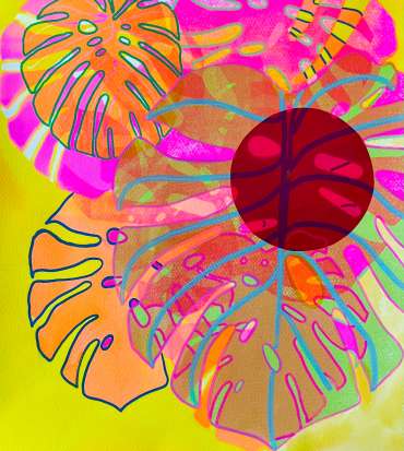 Thumbnail image of Magenta Cheese by Marie Wilson