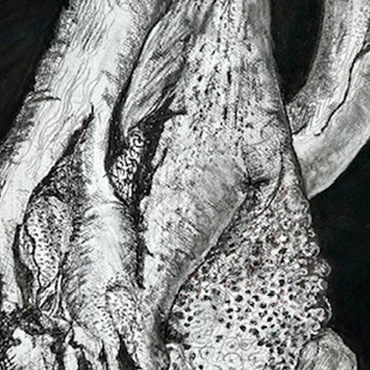 Mary Harrison Thumbnail