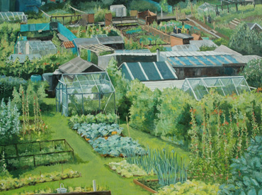 Thumbnail image of Allotments near Leyburn, Yorkshire by Mary Rodgers