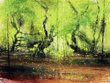 Thumbnail image of Early Autumn, Barnsdale Wood by Philip Dawson