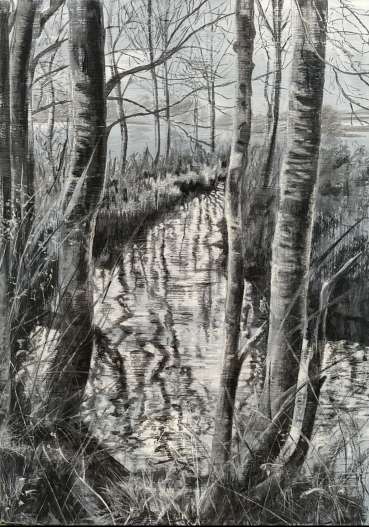 Thumbnail image of The Caudies - Reflections by Rebecca Bennett