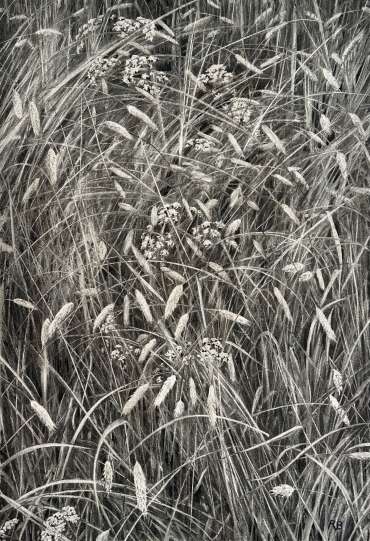Thumbnail image of Spring Grasses by Rebecca Bennett