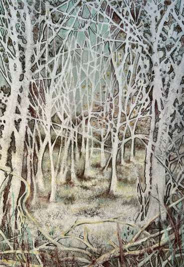 Thumbnail image of Into the Wood by Rebecca Bennett