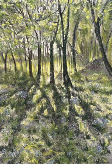 Thumbnail image of Bill's Bluebells by Rebecca Bennett