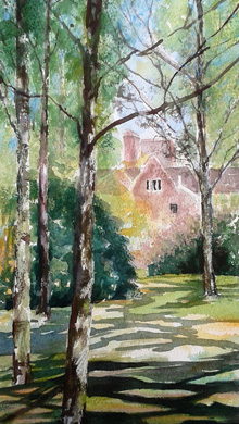 Sunshine and Shadows by Rita Sadler