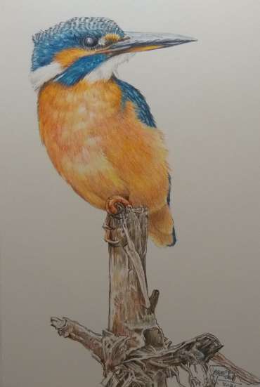Kingfisher by Ruth Randall