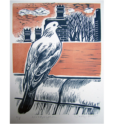 Thumbnail image of Woodpigeon by Sally Hill