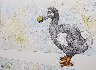 Thumbnail image of Dodo by Sally Struszkowski
