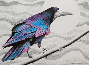 Thumbnail image of A Rook Named Rose by Sally Struszkowski