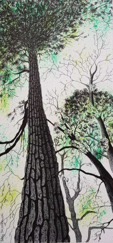 Thumbnail image of Trees by Sally Struszkowski