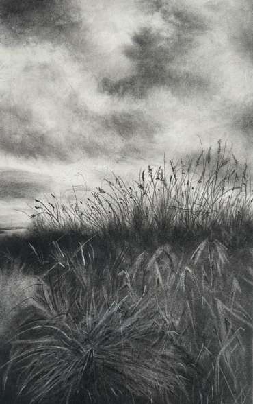 Thumbnail image of Where the Wild Grasses Dance by Sarah Boddy