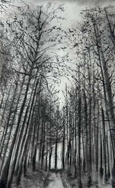Thumbnail image of Pathway of Giants by Sarah Boddy