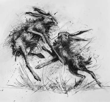Thumbnail image of Clash in the Wild by Sarah Boddy